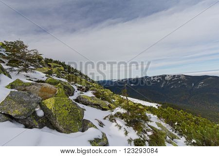 Green gorgan and mountains on the horizon. Carpathians