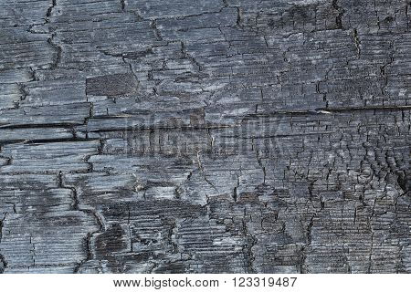 burnt wood texture close-up background of charred wood