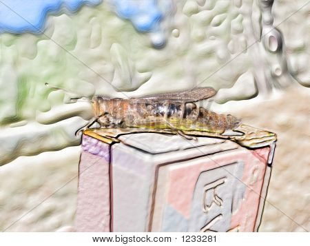 kreative locust