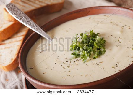 Cream Soup Cauliflower And Toast Macro On The Table. Horizontal