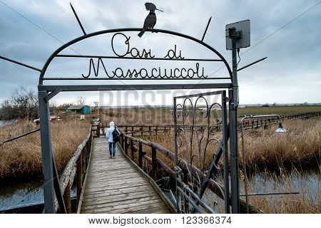 Nature Reserve Oasis Lipu Massaciuccoli Lucca - Italy