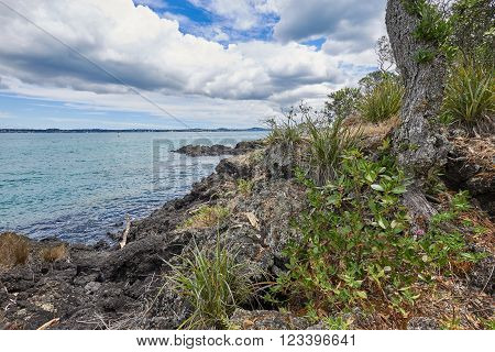 View of the mainland Auckland city from Rangitoto island