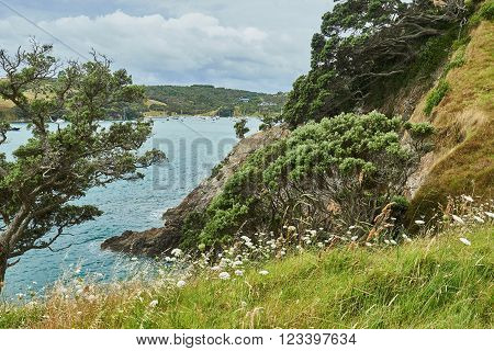 Scenery and landscapes across land and water in Waiheke Island New Zealand