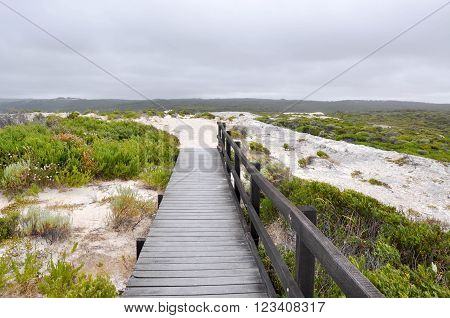 Hamelin Bay's coastal landscape in Western Australia with limestone rock, vegetated dunes and wooden boardwalk under dark stormy skies.
