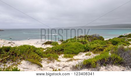 Turquoise Indian Ocean seascape at Hamelin Bay with dune flora under dark, stormy skies in Western Australia.