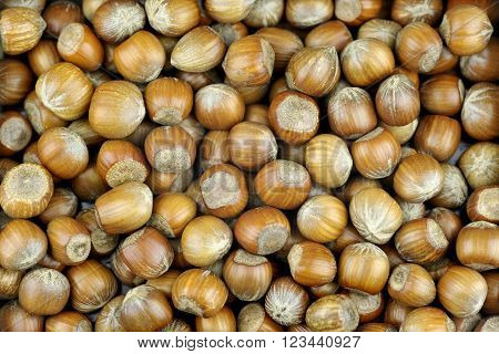 Hazelnuts