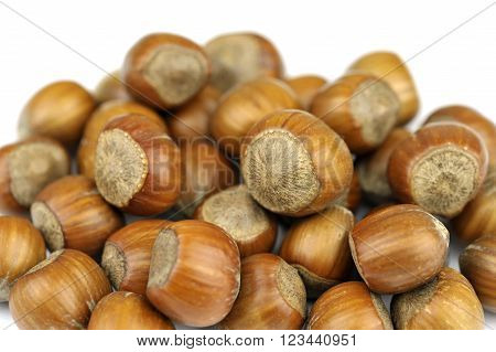 Hazelnuts