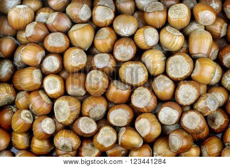 Hazelnuts