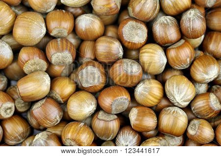 Hazelnuts