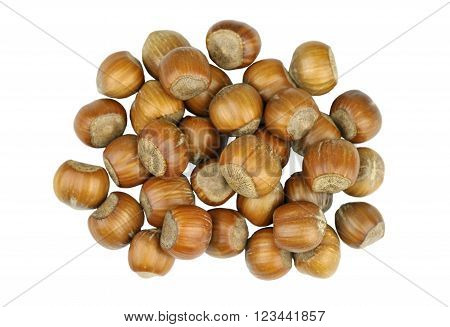 Hazelnuts