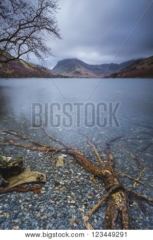 Buttermere Roots