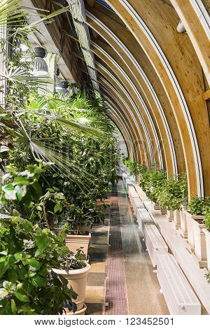 Different plants grow in a large room for everyone.