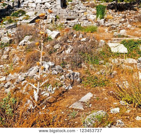 Anatolia Heritage Ruins   From The Hill In Asia Turkey Termessos Old Architecture And Nature