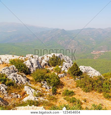 Mountain Bush  Anatolia Heritage Ruins   From The Hill In Asia Turkey Termessos Old Architecture And