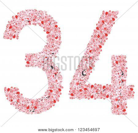 Watercolor hand drawn Sakura Flower Alphabet. Monogram the number three and four  Made of Sakura Flowers