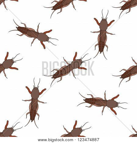 Seamless pattern with European mole cricket.  Gryllotalpidae.  hand-drawn  mole cricket . Vector illustration