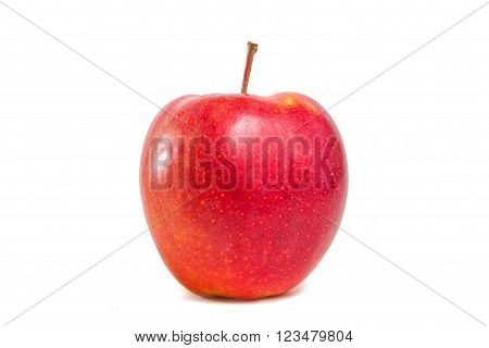 Sweet red apple  on a white background isolated