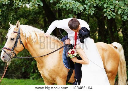 Bride And Groom On A Horses In The Forest