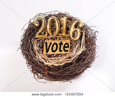 New born 2016 with vote paper on nest