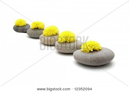 sten og blomster