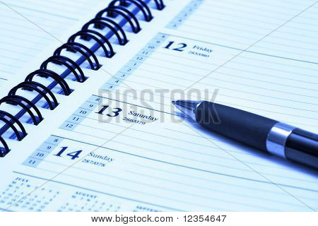 Stift auf dem geöffneten Tagebuch