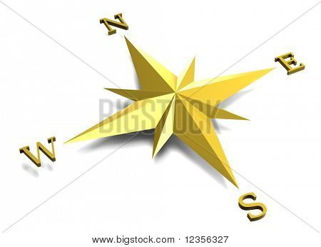 Gold windrose
