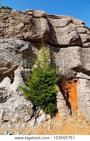 From The Hill In   Architecture Ruins And