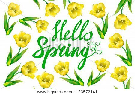 Yellow Tulip Bouquet Over White Background With Custom Text Hello Spring. Vector Illustration.