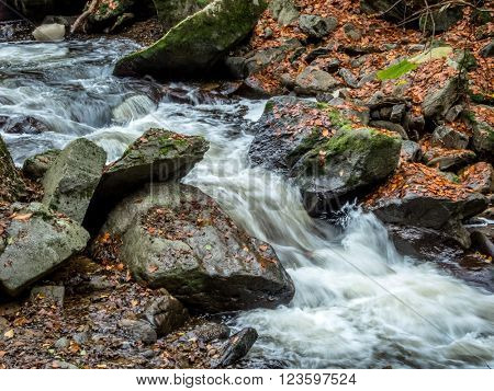 creek with running water
