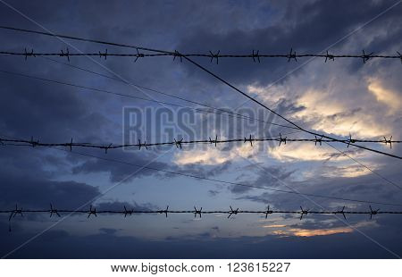 Silhouette of barbed wire on sunsrt sky