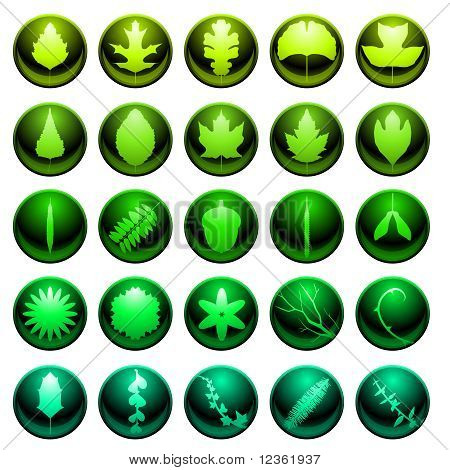Leaf icon set