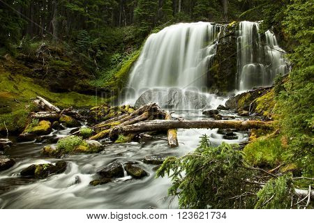 Waterfall in deep green forest in the Washington state
** Note: Soft Focus at 100%, best at smaller sizes