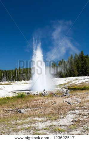 Geyser eruption in the Yellowstone national park
** Note: Soft Focus at 100%, best at smaller sizes