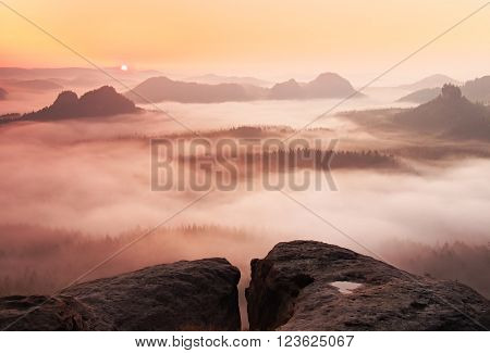 Dreamy Misty Landscape. Majestic Mountain Cut The Lighting Mist. Deep Valley Is Full Of Colorful Fog