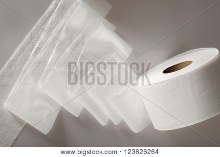 One White Toilet Paper Roll