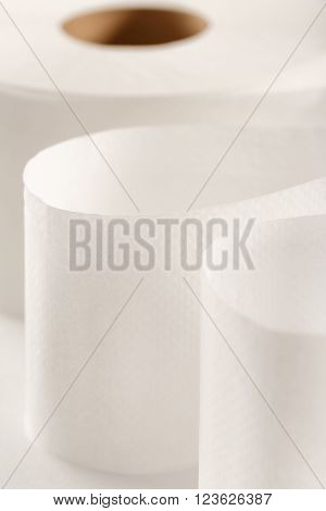 One White Toilet Paper Roll
