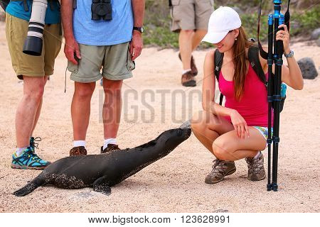 Galapagos, Ecuador - April 19: Unidentified Woman Sits Near Baby Galapagos Sea Lion On April 19, 201