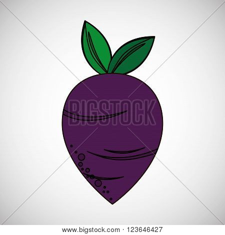Organic shop concept with icon design, vector illustration 10 eps graphic