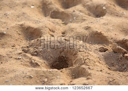 Background of friable sand in sunny day
