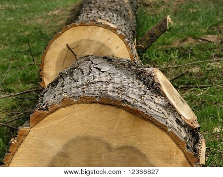 vedbacken (rund)