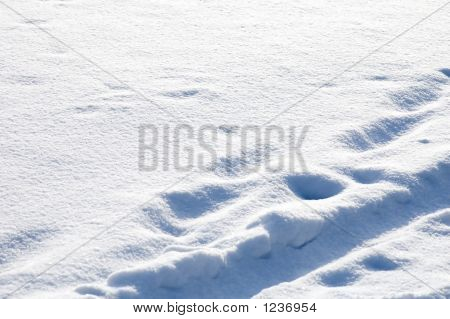 Neve