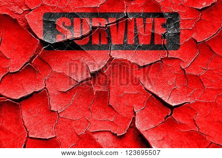 Grunge cracked survive or die sign with some soft flowing lines
