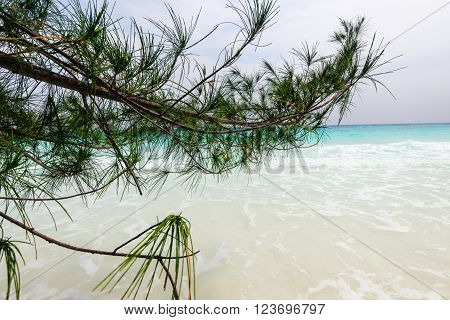 beach with white sand of Tachai island Thailand.