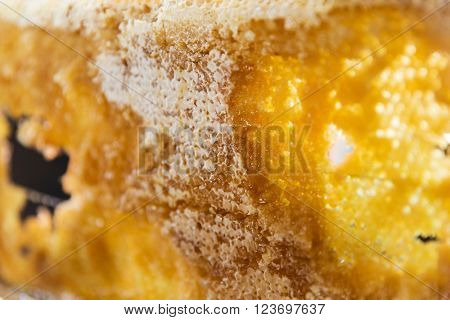 ethnoscience, food, healthy eating and beekeeping - close up of honey in honeycomb