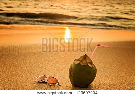 Silhouette of a coconat on the sea beach at sunset.