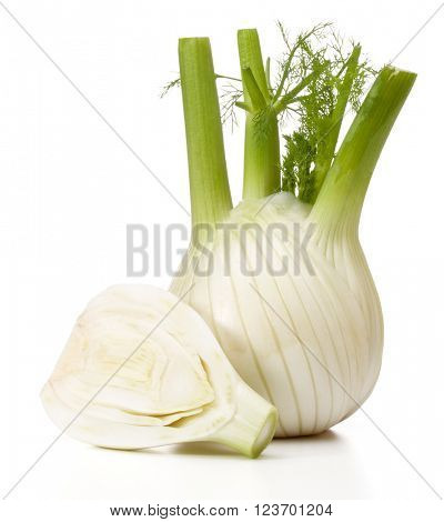 Fresh fennel bulb isolated on white background close up