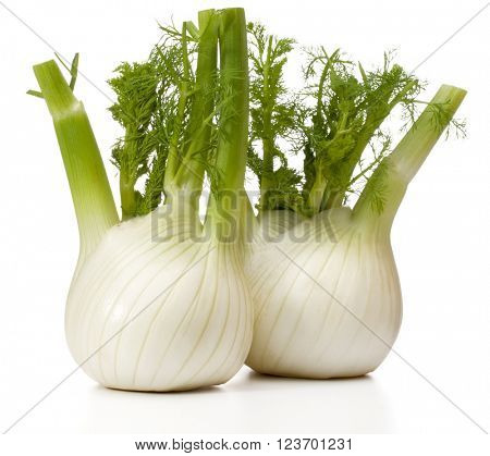 Fresh fennel bulb isolated on white background close up