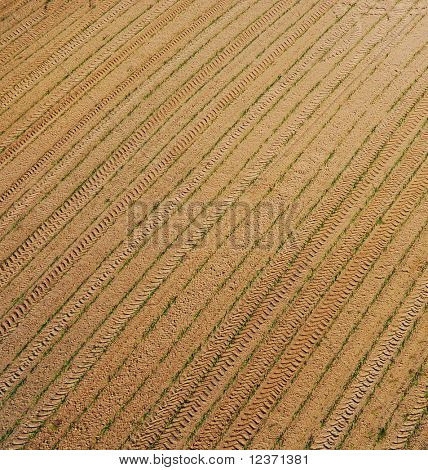 orba hnědé pozadí