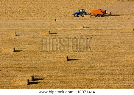 farmář