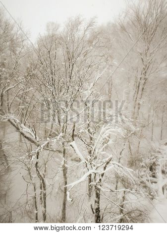 abstract scenes at ski resort during snow storm